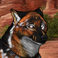 𝑺𝒘𝒆𝒆𝒕 Headshot