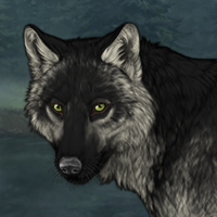 Wolf Headshot