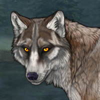 Lupos Headshot