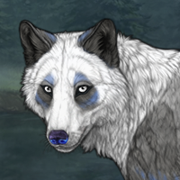 Panda Winterwolf Headshot