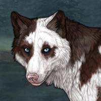 (Sale) Piebald: Torn Headshot