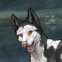 Piebald Headshot