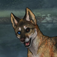 het eyed t2 shep wolf Headshot