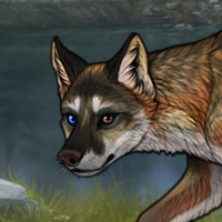 het eyed t2 shep wolf Headshot