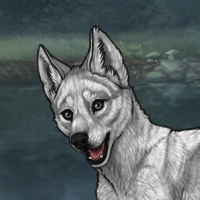 Enclave Puppy Headshot