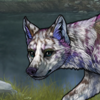 G3 F Cb Badger Merle Headshot