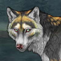 Bloompelt Headshot