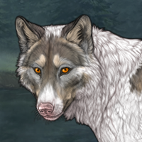 Piebald #12 Sprucepaw Headshot