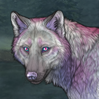 Moonglow Winterwolf Headshot
