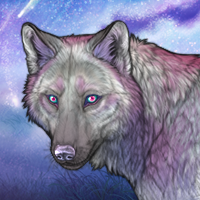 Moonglow Winterwolf Headshot