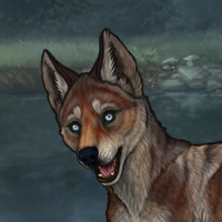 5M T2 Husky Headshot