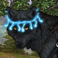 Wolf Headshot