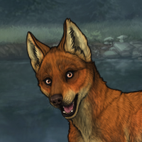 G2 Fox Headshot