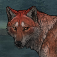 Foxpelt Headshot