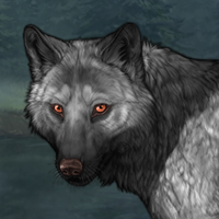 Wolf Headshot