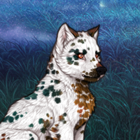 Dalmatian Headshot