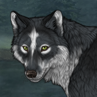 Wolf Headshot