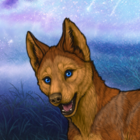 Auriga Pup| Amber| M Headshot