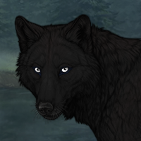 Black'Pelt Headshot