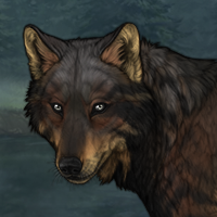 Zangar dog Headshot