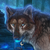Wolf Headshot