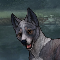 Blueschist Chase Headshot