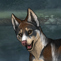 husky t2 F Headshot