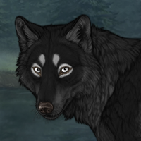 Darkwater Headshot