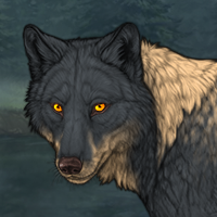 Wolf Headshot