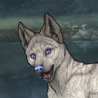 - Breeder Male - Headshot