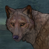 Acacia of Savana Bark Headshot