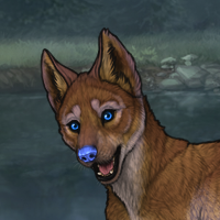 Sepiapup Headshot