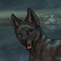 TIII Iridium Seluniamark Headshot