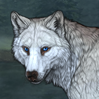 Wolf Headshot