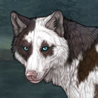 Piebald torn Headshot