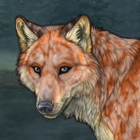 Fox Stalker Stoic 3 Headshot