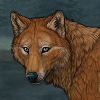 Sandpelt Headshot