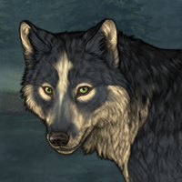 Wolf Headshot