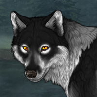 Wolf Headshot