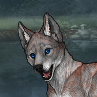 Silver and red female pup Headshot