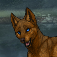 New Puppy - Enclave Headshot