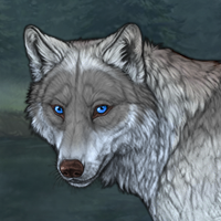 Wolf Headshot