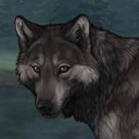 R-s ⋆ Understory Headshot