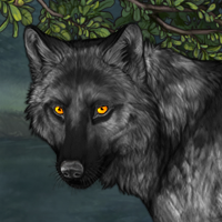 Wolf Headshot
