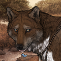 Wolf Headshot