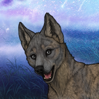 Enclave Pup Headshot