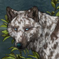 Piebald Headshot