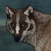 Wolf Headshot