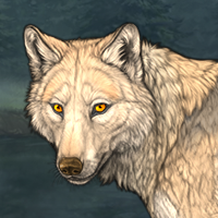 Wolf Headshot