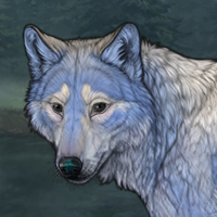 Cloud Winterwolf Headshot